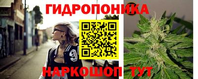 прущие грибы Бузулук