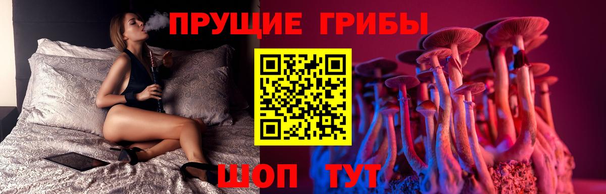 Орск  Псилоцибиновые грибы GOLDEN TEACHER  купить наркотики сайты  Вход с VPN 